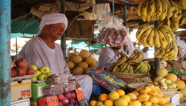 السودان خضار سوق شارع اسعار فواكة بيع دكان