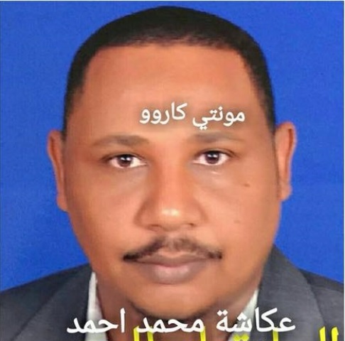 عكاشة محمد احمد