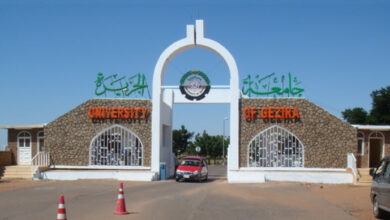 جامعة الجزيرة