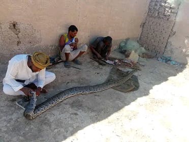 ثعبان الشمالية